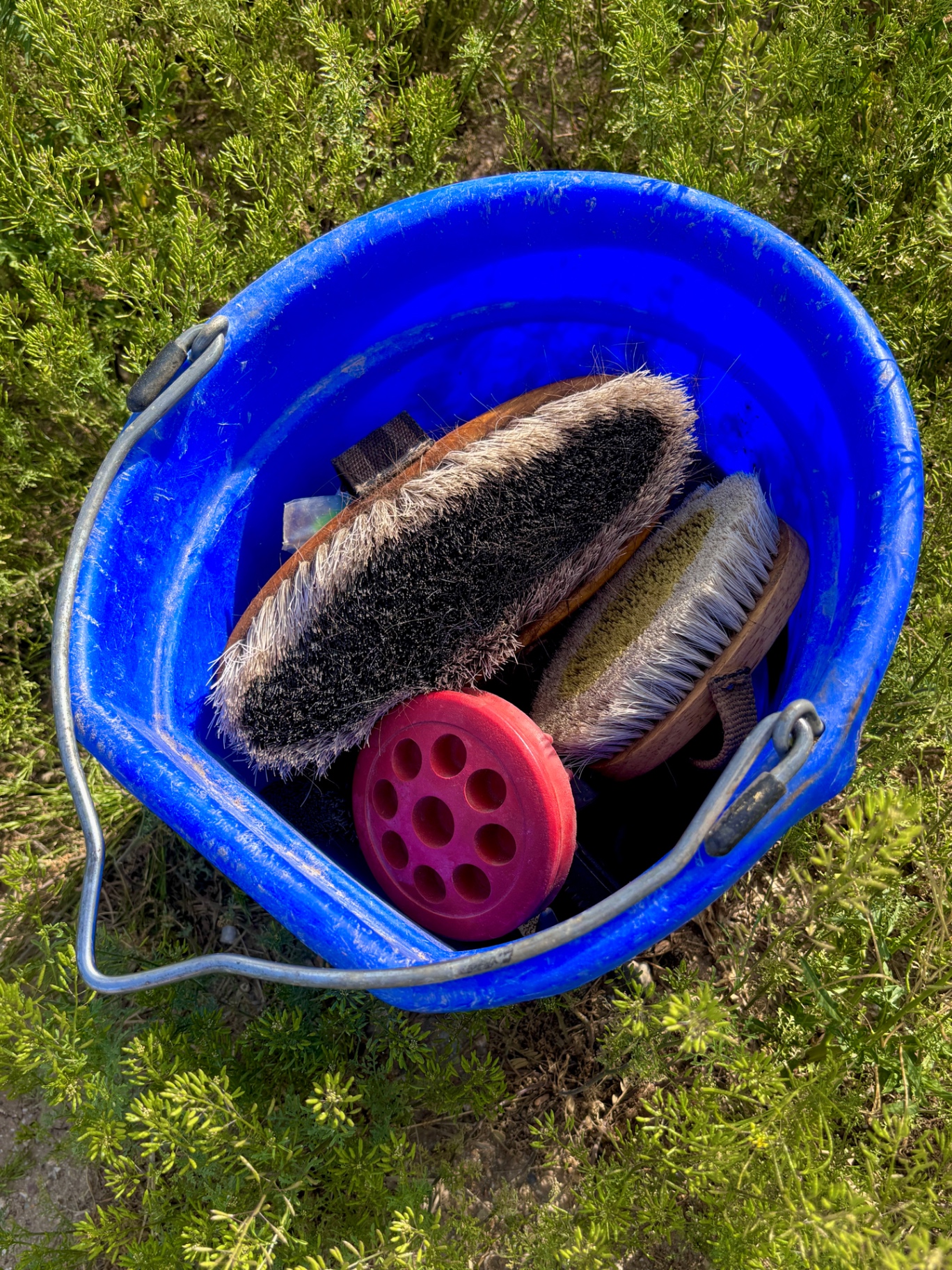 Mindful Grooming supplies at Equinimity